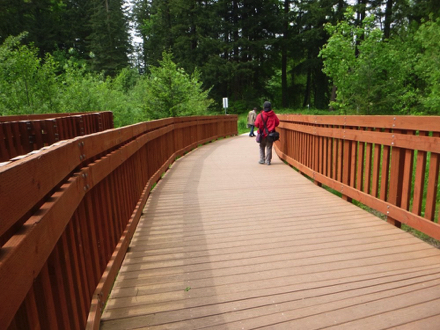 Boardwalk with railings - off the main trail to Nyberg Woods shopping complex Boardwalk with railings - off the main trail to Nyberg Woods shopping complex